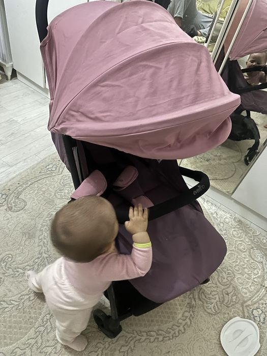 Коляска Even flo