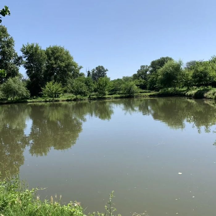 Продава се Парцел в с. Куртово Конаре, Област Пловдив - 21115 кв.м за 17 €/кв.м - Снимка #10