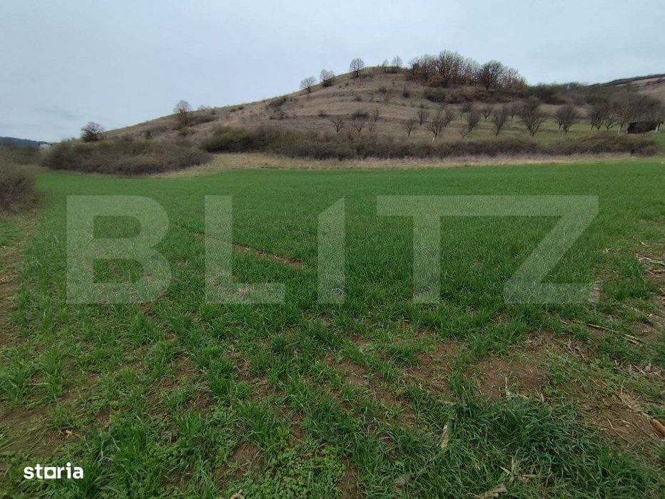 Teren extravilan, 1.200 mp, zona Parau lui Mihai