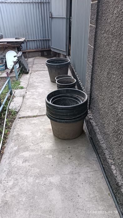 Вёдра для саженцев