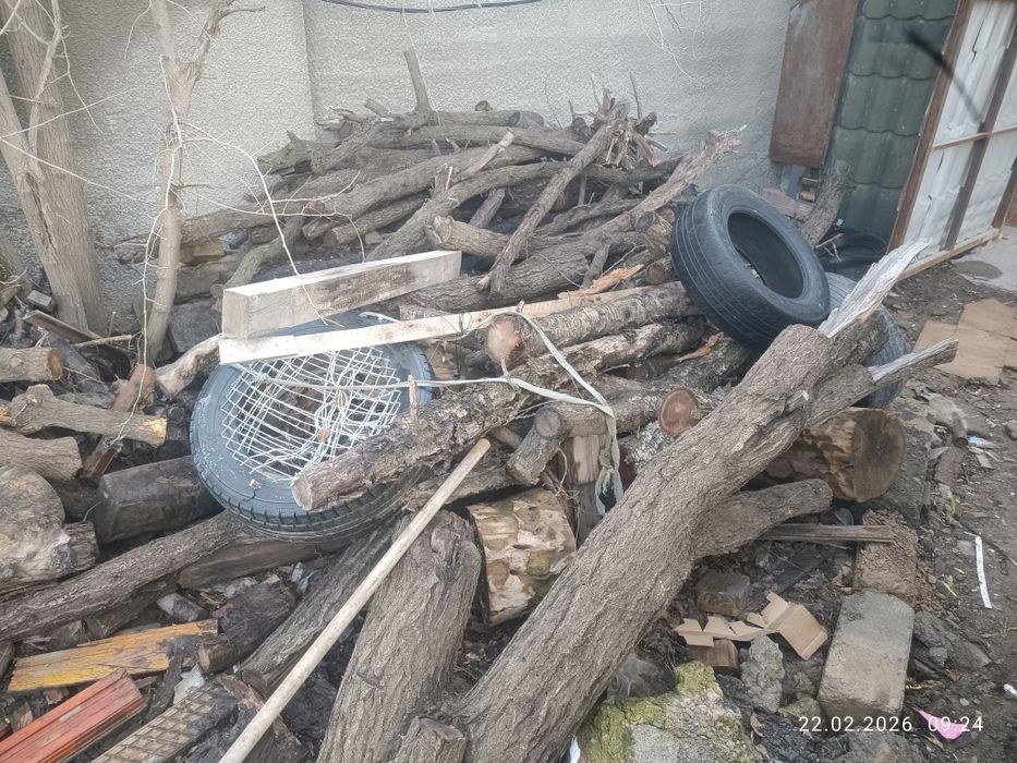 Отын дрова өрік және басқа да