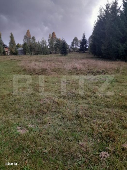 Teren intravilan de vanzare, 2280 mp, Vatra Dornei