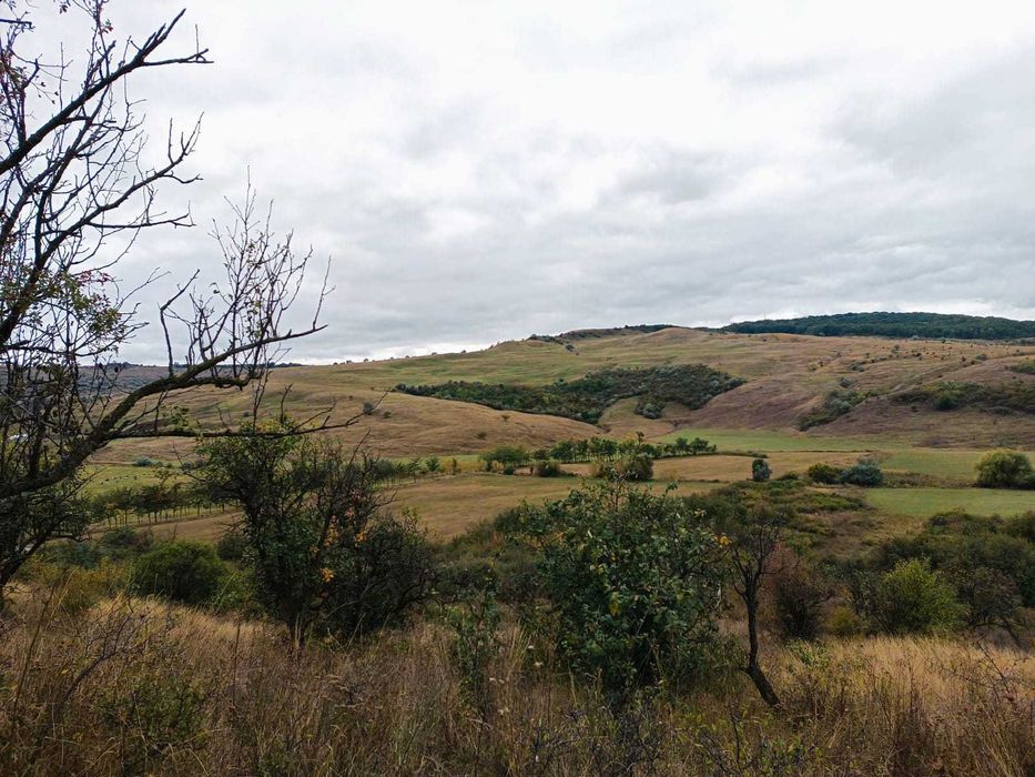 Teren 3,3 ha pentru viață la natură – livadă, liniște, Strunga Iași