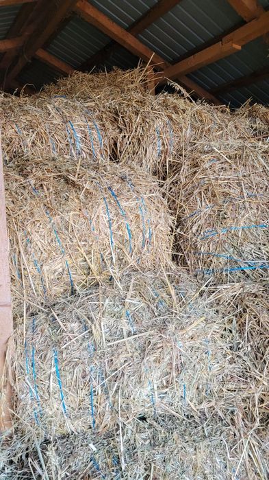 Vand baloti de fan si de ovaz