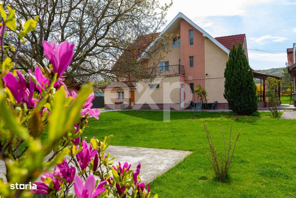 Casa/vila de vanzare cu teren generos 3659 mp si 3 constructii, Sarata
