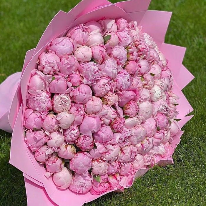 Пионы Розы гортензии Хризантемы цветы букеты