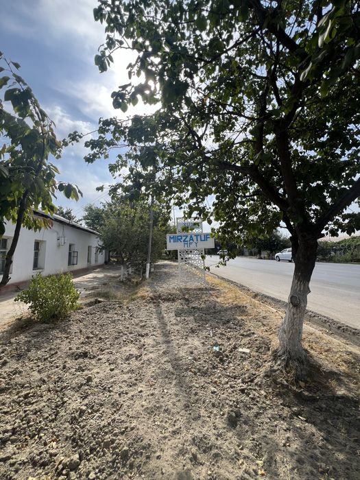 10 sutix yer sotiladi