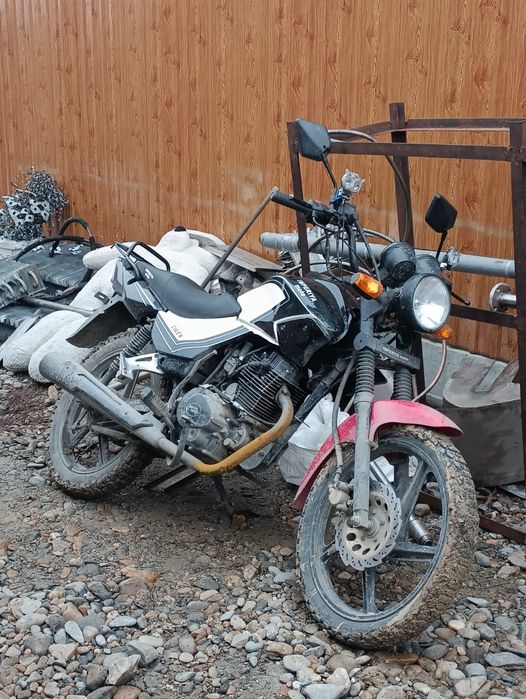 Тiger 200cm  295 торг