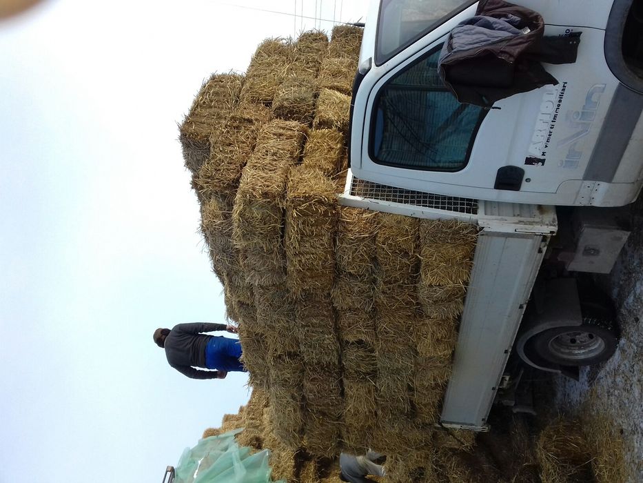 Vind baloți de grîu și ovăs, prețul variază  în funcție cantitate 0741