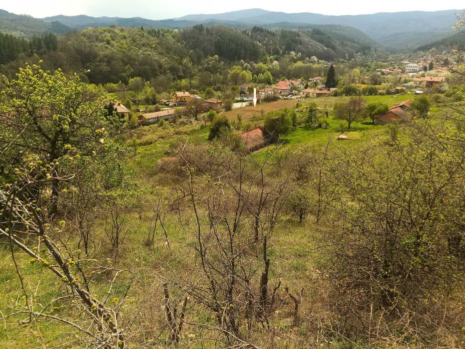 Продава се Земеделски имот в с. Згурово, Област Кюстендил -  кв.м за 3825 €/дка - Снимка #12