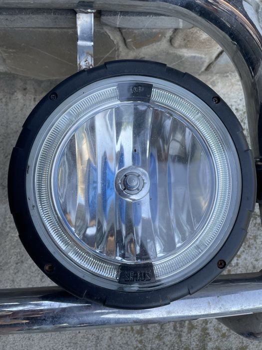 Bulbar  Cobra.