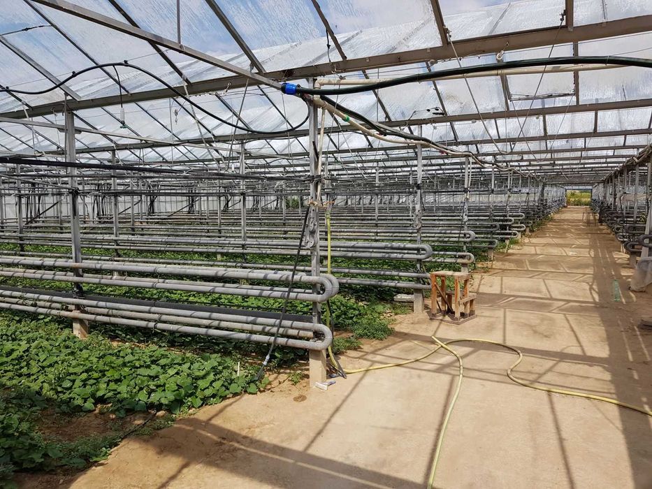 Продава се Земеделски имот в с. Говедаре, Област Пазарджик -  кв.м за 60180 €/дка - Снимка #2