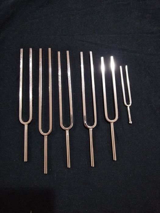 Diapazon profesional