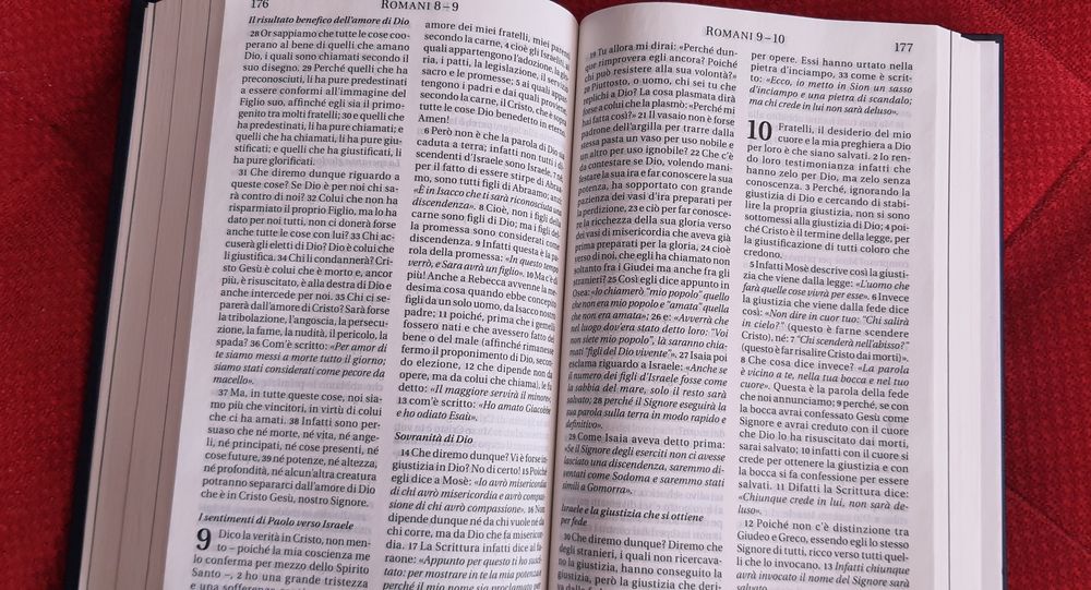 NOUL TESTAMENT (germana,franceza,italiana,engleza)