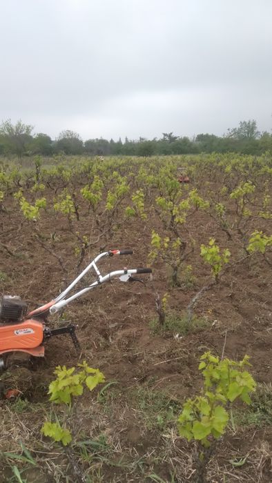 Grădini,vie,de arat sau curățat,livezi de curatat