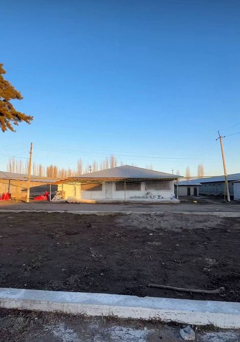 Продаётся птицеферма