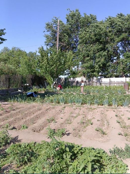 Продам дачу  срочно