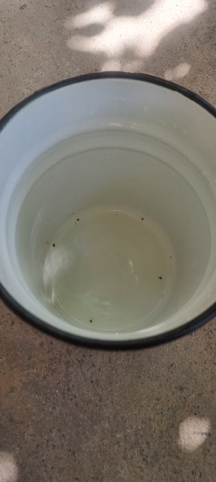 Эмалированый битончик