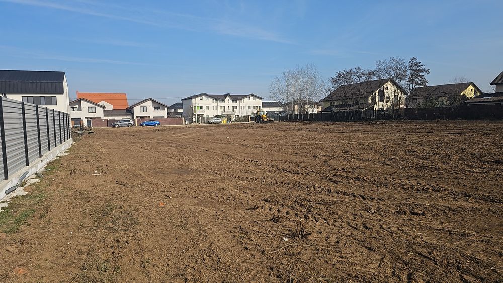 Defrișare / Curățare loc / Demolări.