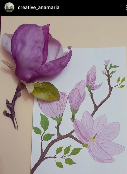 Ilustratii în acuarela