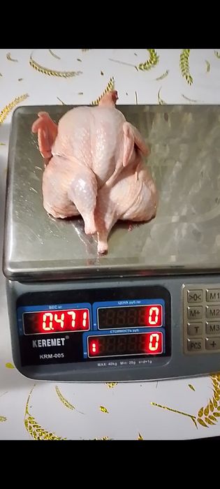 Мясо домашней перепёлки