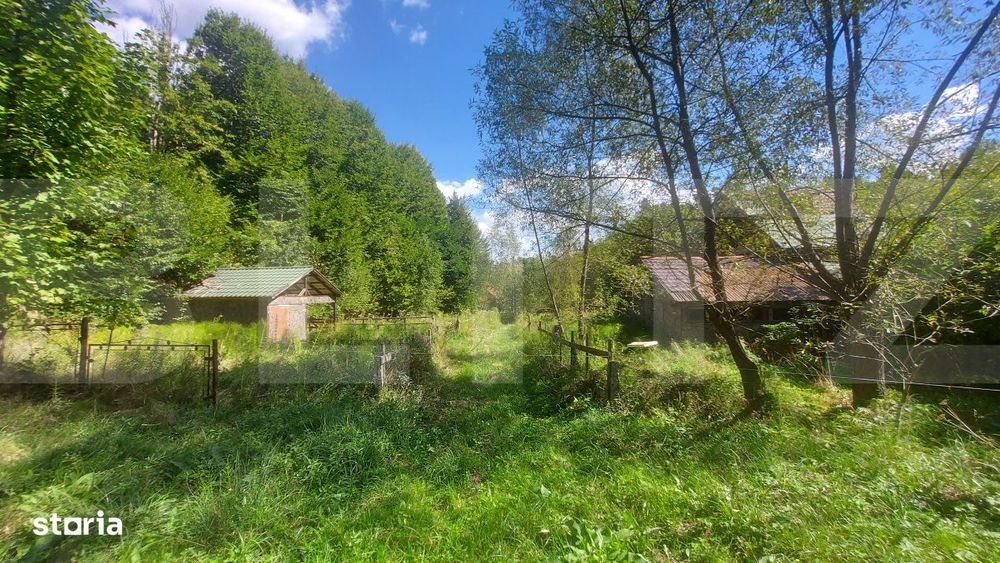 Teren intravilan 1.600 mp + constructie I Natura si liniste I Sita Buz