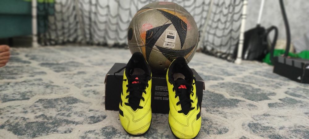 31-32 зелёные сороконожки