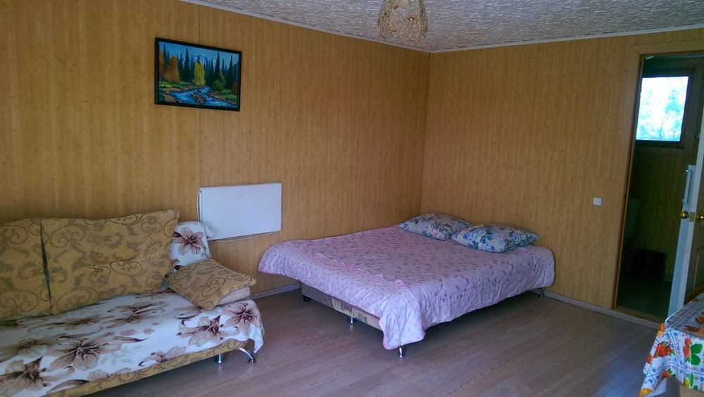 ТЁПЛЫЙ домик в Боровом