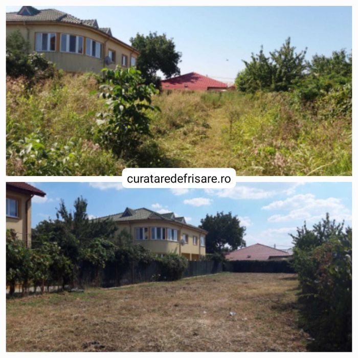 Curatare si igienizare terenuri, imprejmuire, eliminare ambrozie