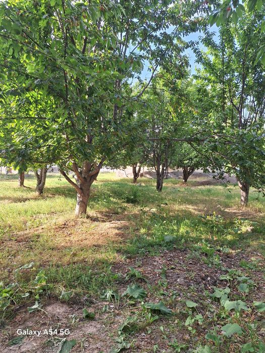 Тезлик билан 6 хонали 15 сотик участка сотилади