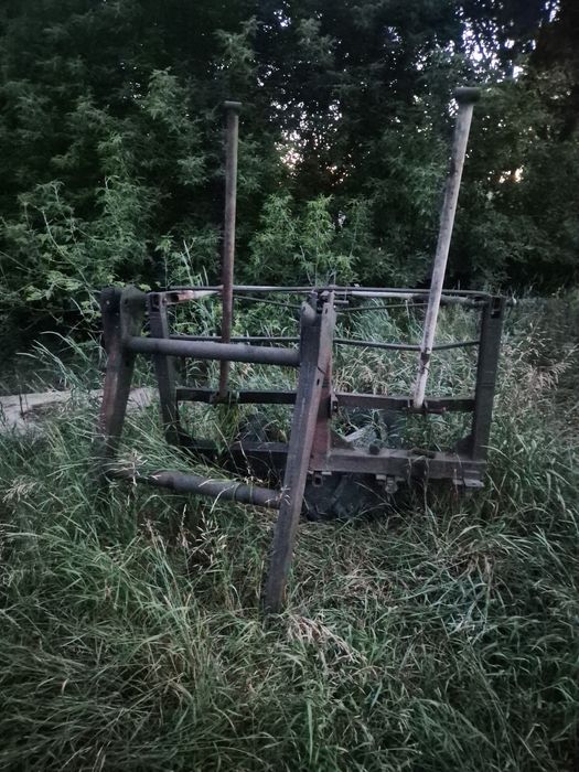 Продам кун в хорошем состоянии