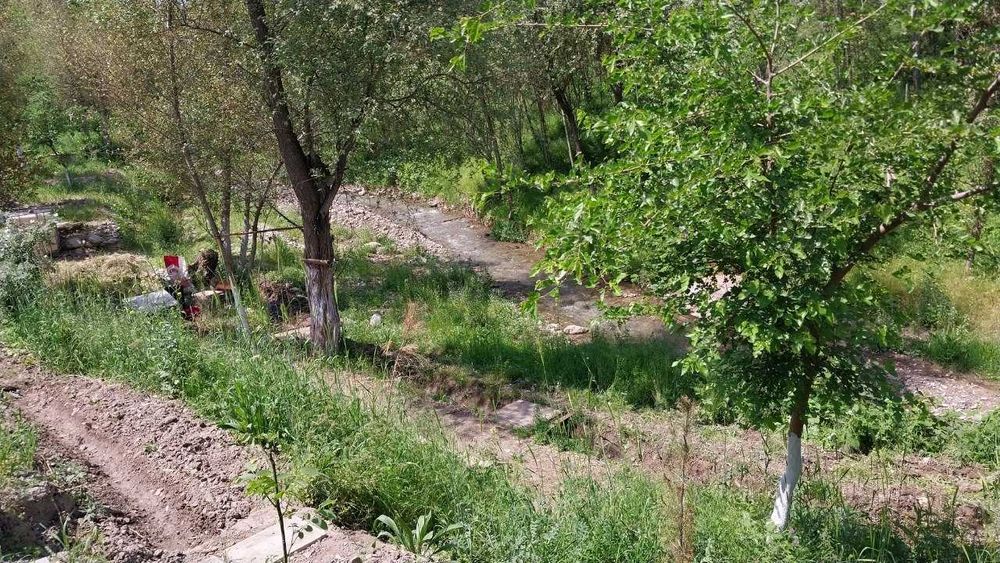 Dala hovli bor sotiladi