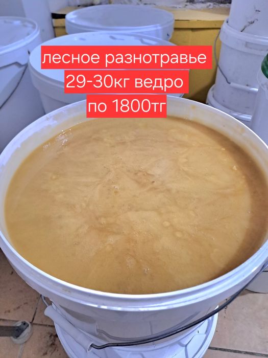 Мёд натуральный из ВКО ОПТОМ и в розницу,находимся в Каскелене
