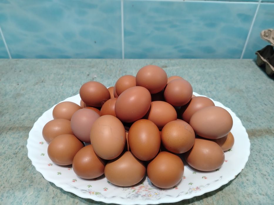 Яйцо домашнее куриное