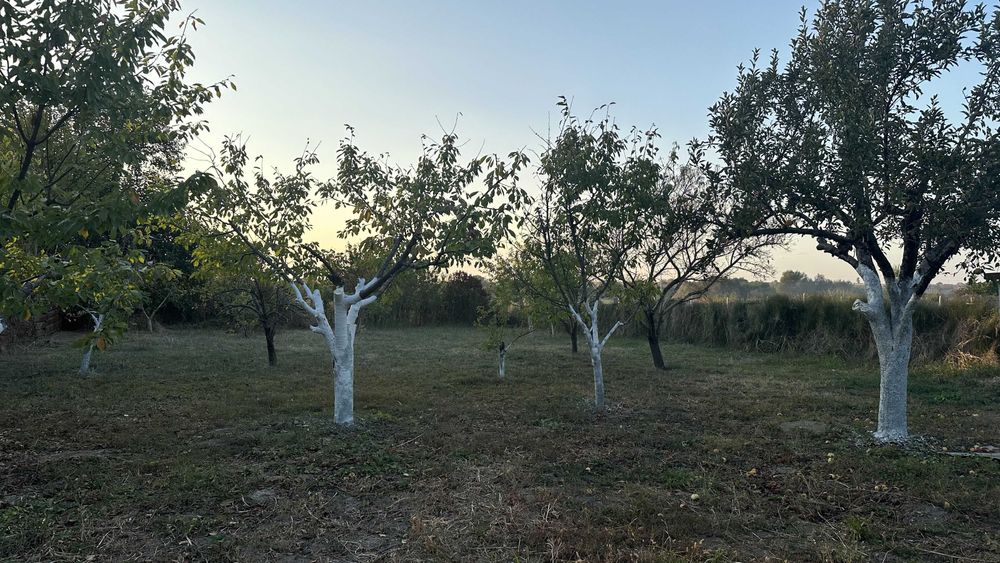 Продава се Къща в София, Младост 1 - 92 кв.м за 381 €/кв.м - Снимка #18