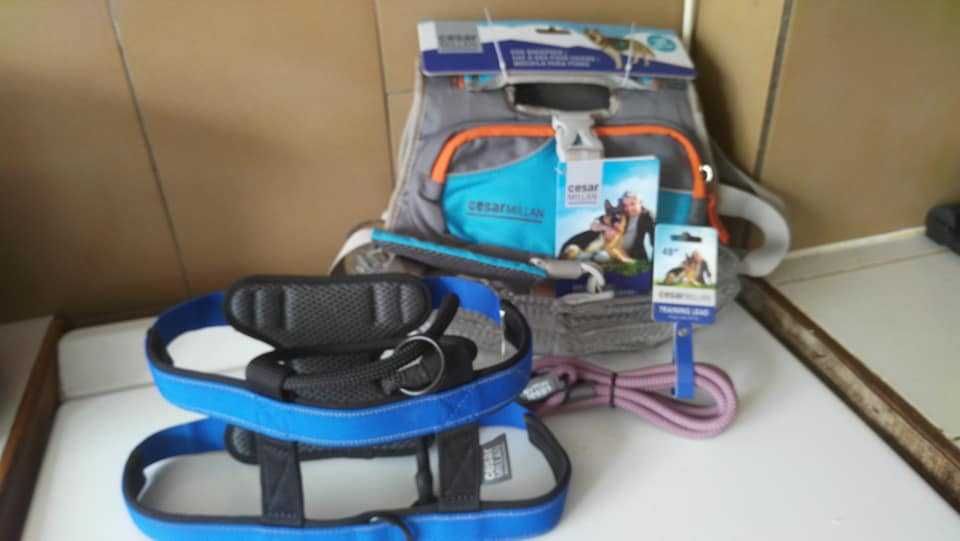 CESAR MILLAN - Раница за разходка и яка за изправена стойка на куче