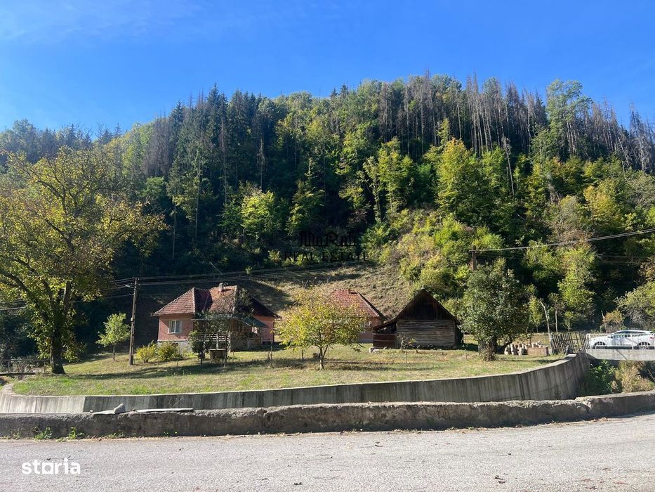 Doua case, teren si padure in Mihaileni - Buces
