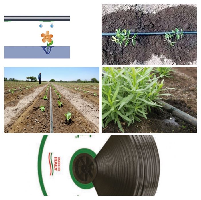 BANDA PICURARE  8mil, 4 L/H, Picurare 20-30cm, 2000m=480 lei