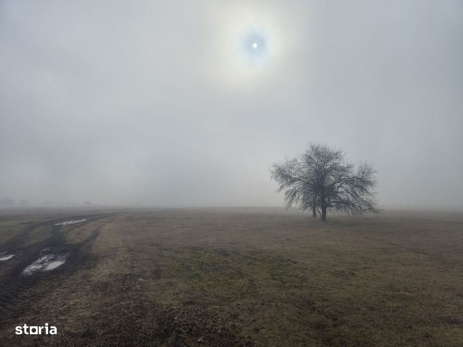 Teren 3.000 mp cu autorizație hală – Holboca, Iași | Rate