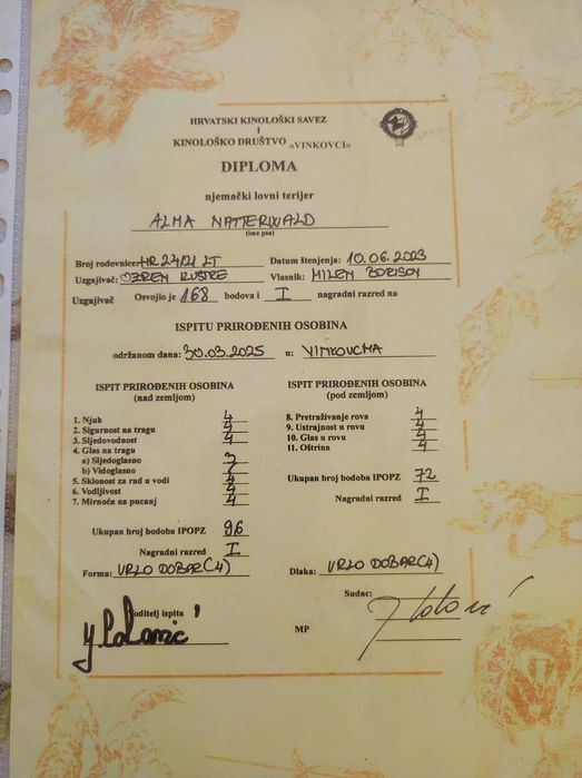 Немски ловен териер - чистокръвно