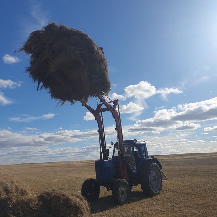 МтЗ-80     трактор