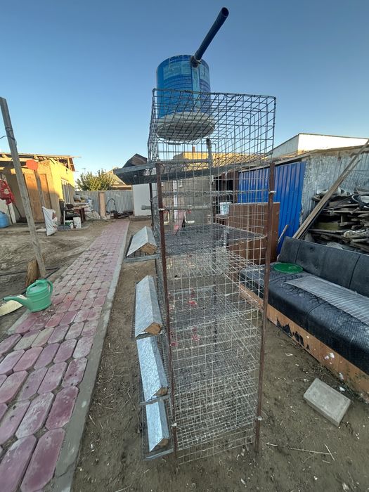 Бөдене сетка брудер Перепелка