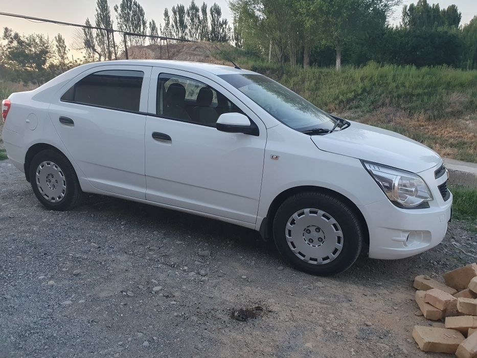 Kobolt toza 2019