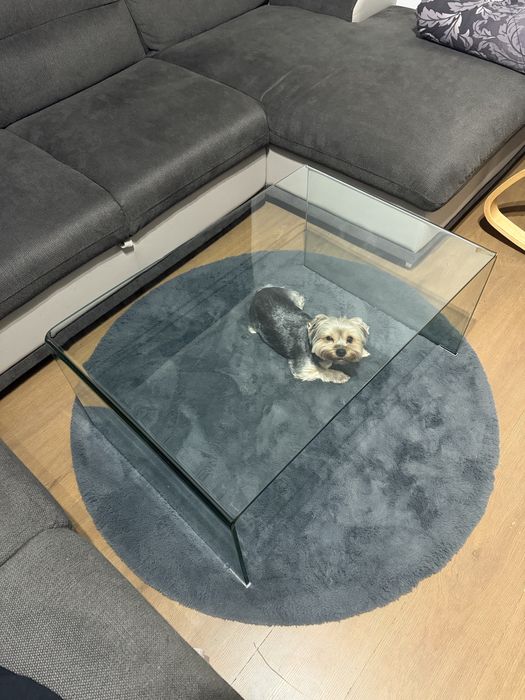 стъклена маса за хол