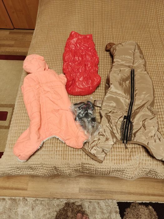 Одежда для собак.