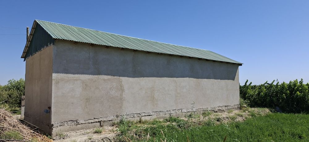 Romitan tumanida joylashgan 15 sotixli hovli tezda sotiladi.