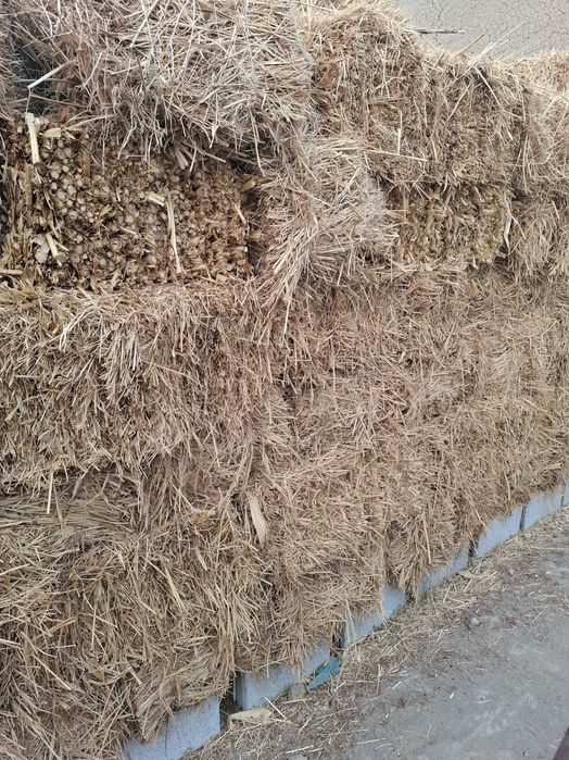 Ут, пресс. O't, press. Traktor press.