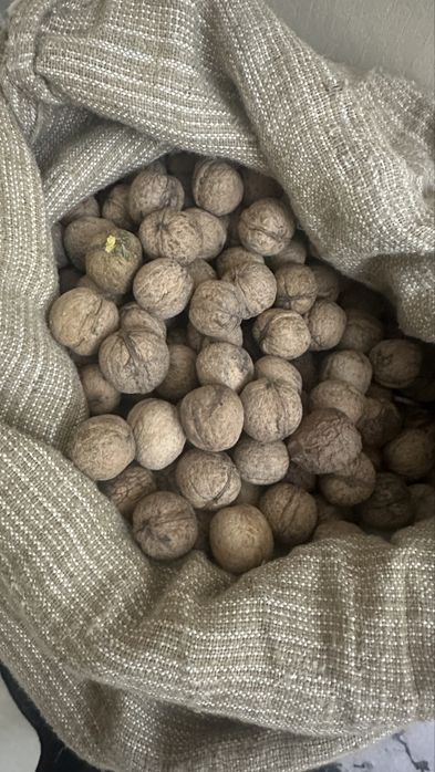 Орехи грецкие. Хорошие.