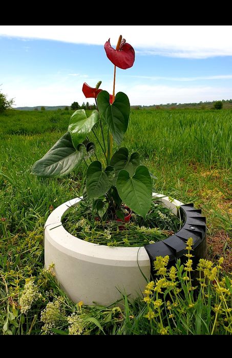 MATRITE PAVAJ forme dale constructi tipare pavele beton montaj piese