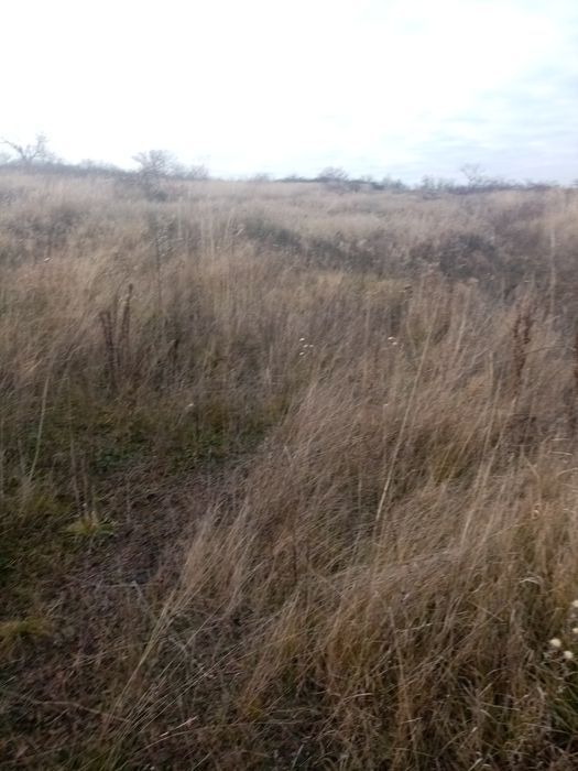 Vând terenuri extravilane